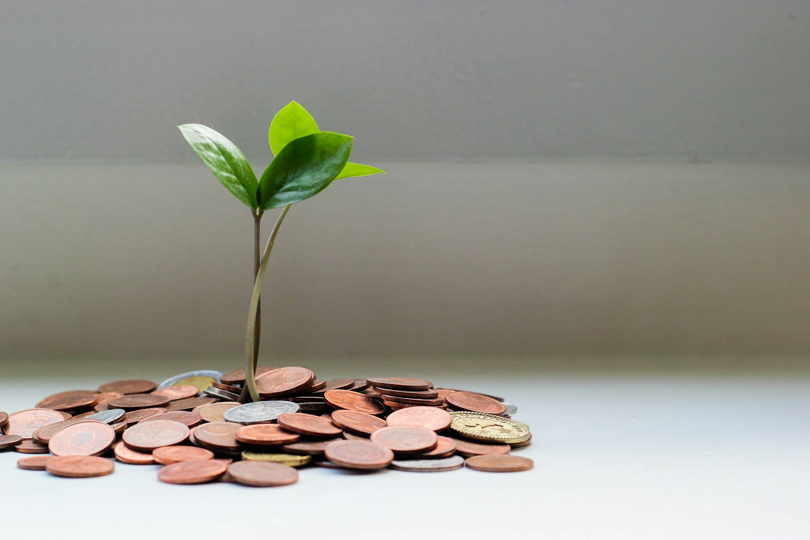 Finanzierung, Kredit und Leasing